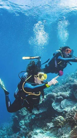 Comparte tus experiencias